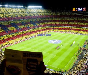 老将定海神针 新锐锋芒毕露 中国女篮团队力量闪耀亚洲杯再闯四强