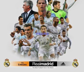 申花足协杯登顶点燃城市荣光，大鲨鱼惨败引发球迷忧思，上海男篮路在何方？